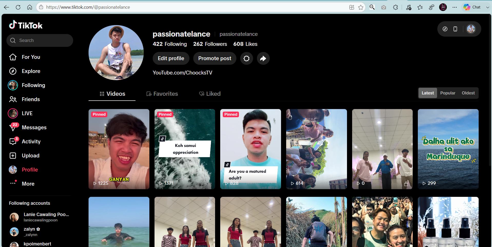 TikTok Profile